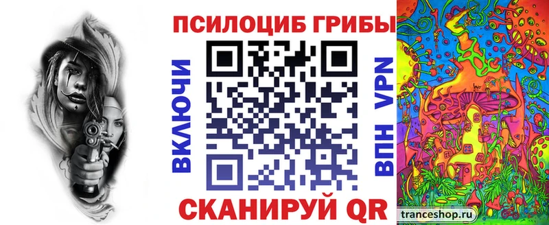 маркетплейс официальный сайт  Чкаловск  Псилоцибиновые грибы GOLDEN TEACHER  где можно купить  